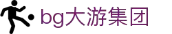 BG大游(集团)唯一官方网站